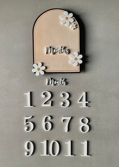 Months Milestone Plaque - Decor By The Way