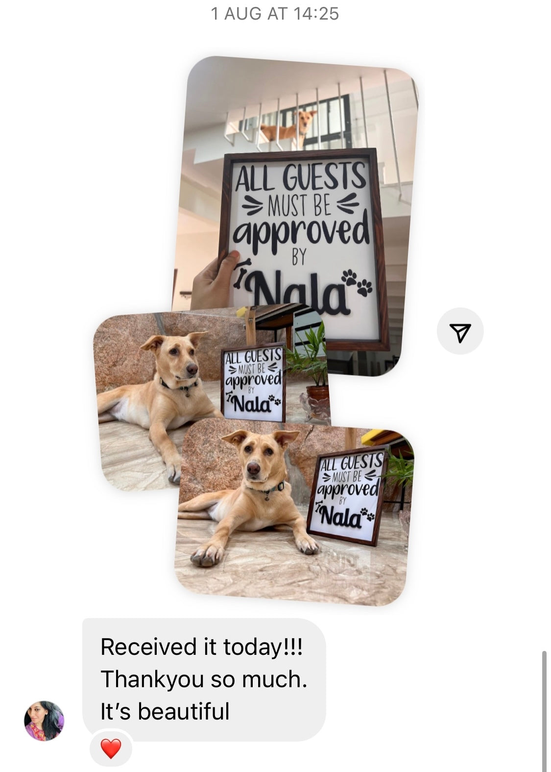 Pet Personalised Frame - Decor By The Way